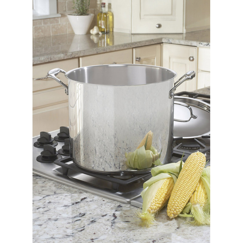 Cuisinart 12-Quart Stainless Steel Stockpot with Lid