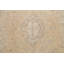 Tapis floral discret 6 x 10