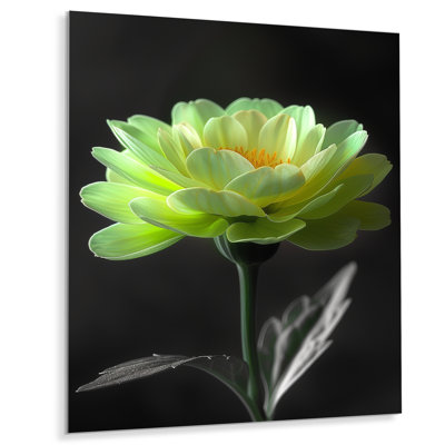 Vert, noir, jardin, glamour, souci, art mural