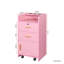 Armoire de rangement verrouillable