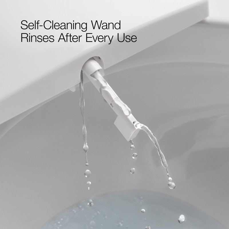 C3® 155 Cleansing Elongated Toilet Seat, Biscuit