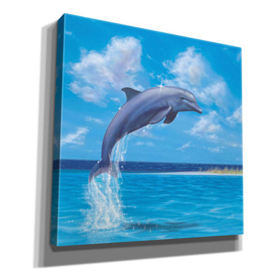 Haranu Breakwater Bay «Blue Water Dolphin» par Chris Dobrowolski