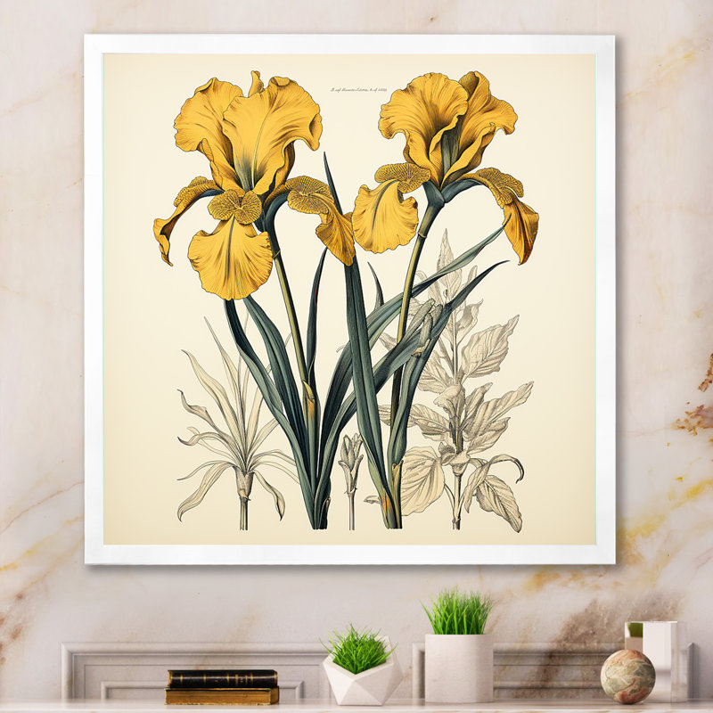 Illustration rétro, iris dorés sur toile, Cadre simple blanc, H 24 po x l 24 po x P 1 po