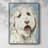 Labradoodle II Framed Print - Solid Wood-1836780462