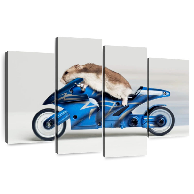 Hamster Ketti sur une moto jouet, H 27 po x l 43 po