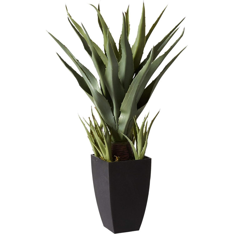 Sansevieria (35 po) et bouquet de plantes artificielles avec jardinières noires
