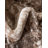 Brandt Oriental Area Rug-900546637-923683868