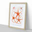Star Fish Varieties by Albert I - Framed Print-55615622-55615625