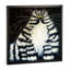 « bert » par kim haskins-impression d’art graphique-49774668-49774663