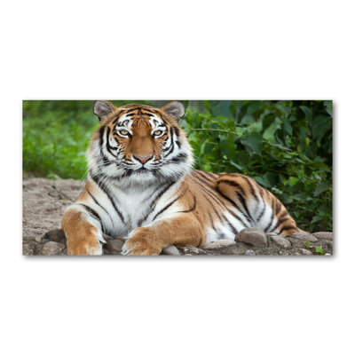 Siberian Tiger - Wrapped Canvas Print
