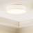 Raasch 1-Light LED Flush Mount-930126326-930126313