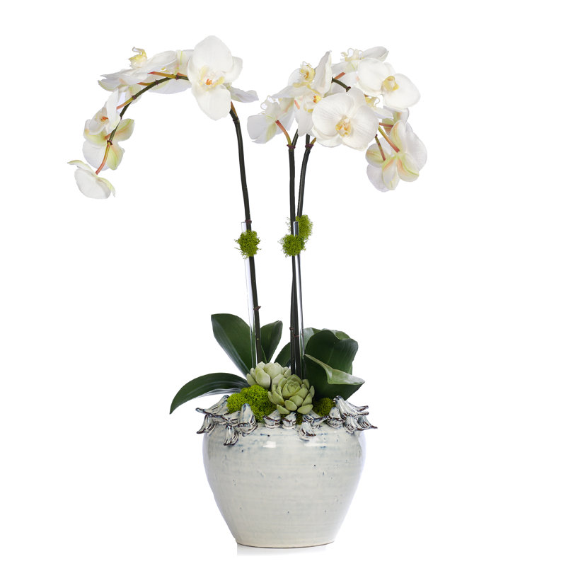 Centre de table orchidée dans un pot en céramique