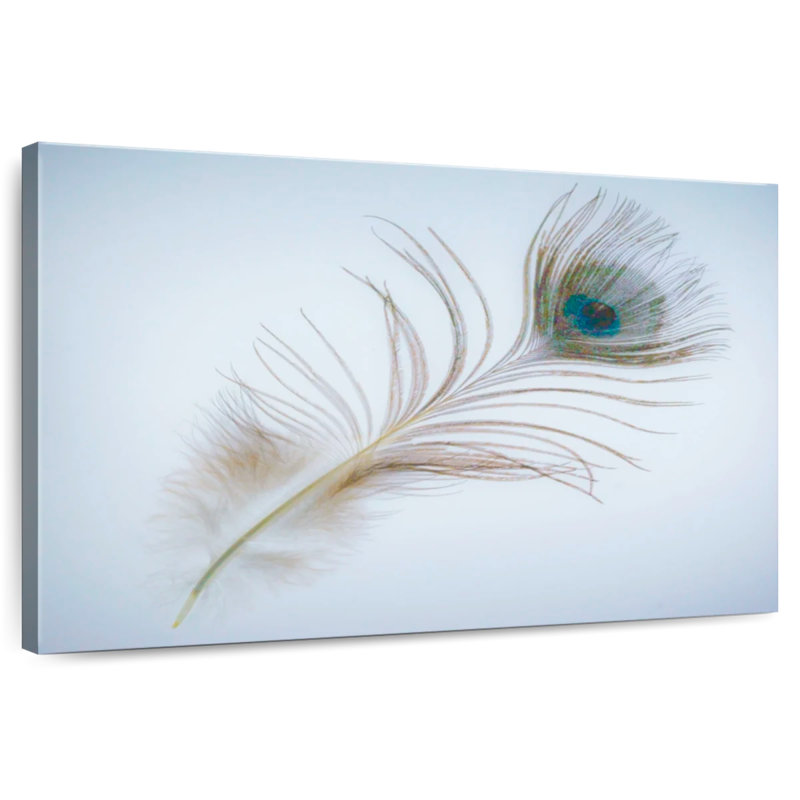 Plume de paon Kerner en bleu, H 34 po x l 51 po