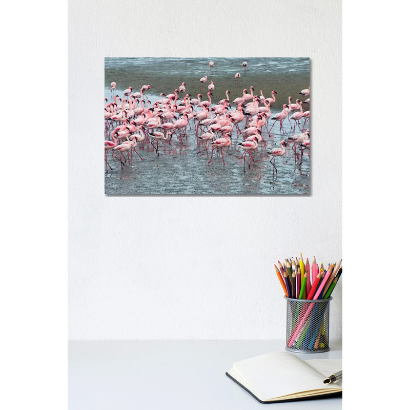 Flamingos, Walvis Bay, Erongo Region, Namibia by Keren Su - Wrapped Canvas Gallery-Wrapped Canvas Giclée