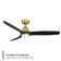Skylark 3 - Blade Indoor/Outdoor Smart Ceiling Fan with Adjustable CCT 2700K-3000K-4000K-5000K LED Light Kit and Remote Control Included, Works With Alexa and iOS or Android App