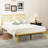 Metal Steel Platform Bed Frame With Iron-Art Headboard (Queen Size) - Gold