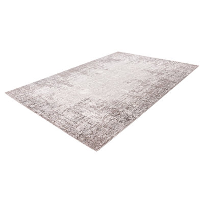 Phoenix Oriental Area Rug