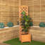 Anaum 160cm H x 40cm W Wood Trellis