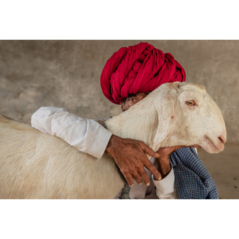 Wrapped Canvas Print, 50.8 cm H x 76.2 cm W