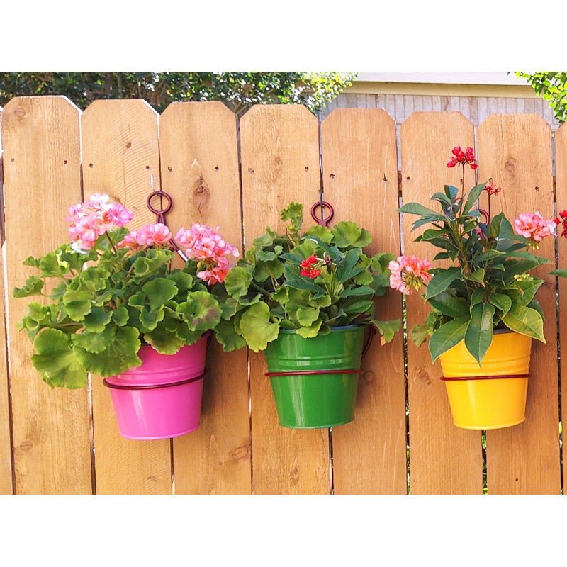 Ensemble de pot à fleurs mural 3 pièces Iron Hanger, Rose vif / vert / safran / brun, 3