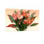 Arrangement floral de plantes et de fleurs avec des fleurs roses et oranges-444243933-444243929-444243928