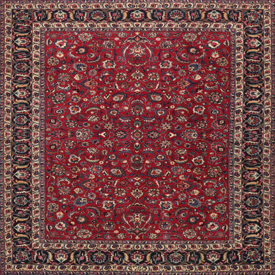 Faraz Oriental Indoor Rug