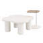 Ensemble de 2 tables basses irrégulières