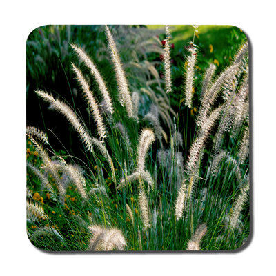 Dovud Square 6 Piece Coaster Set