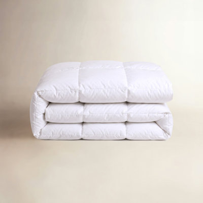 All Season Lyocell Comforter