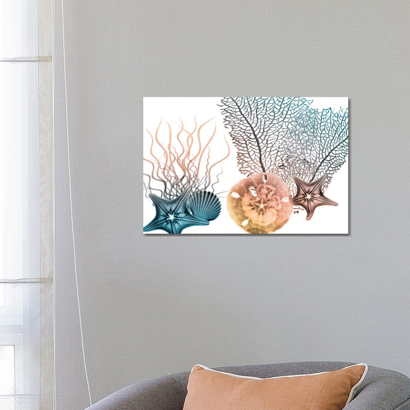 Sea Collective III by Albert Koetsier - Print on Canvas, 45.72cm H x 66.04cm W x 3.81cm D, Wrapped Canvas