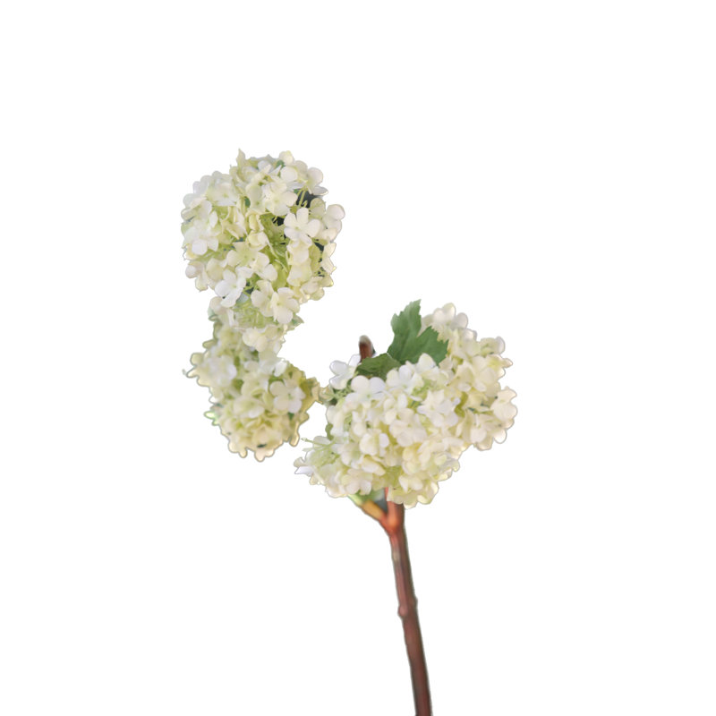 Viburnum Spray, Whitish Green