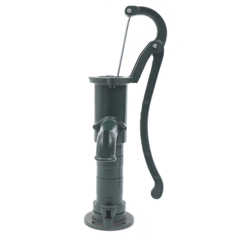 Pompe à eau d'extérieur 19,69 pi Anishia