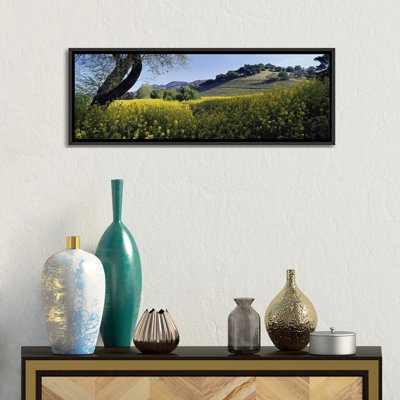 Mustard Plants In A Field, Napa Valley, California, USA by Panoramic Images - Wrapped Canvas Panoramic Gallery-Wrapped Canvas Giclée