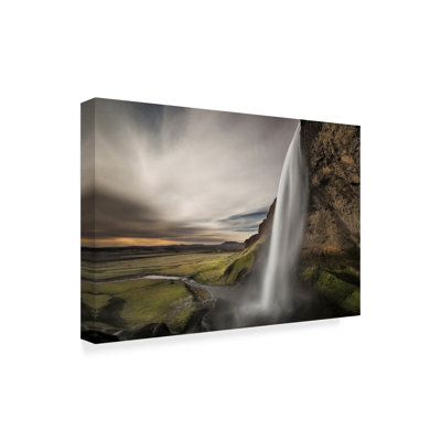'Nature Study' Photographic Print on Wrapped Canvas