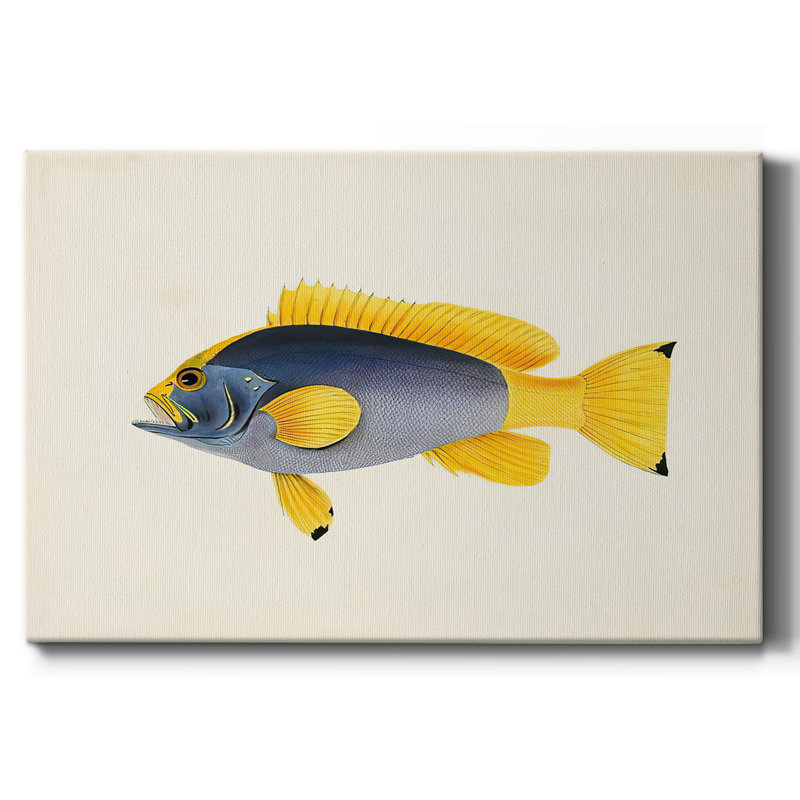 Toile tendue avec collection de poissons tropicaux, H 8 po x l 12 po