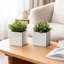2 Piece White Ceramic Flower Planters Pots