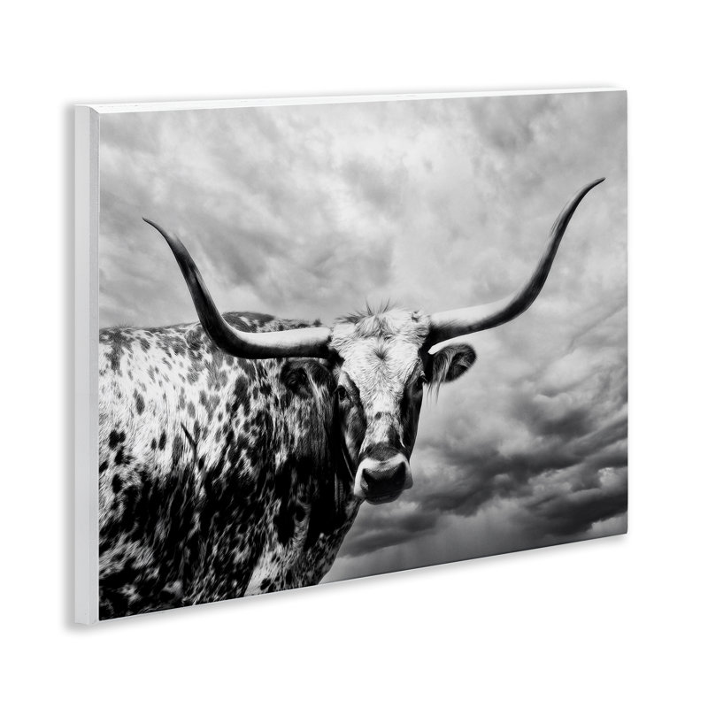 Art mural en forme de Longhorn sur les nuages, par PHBurchett