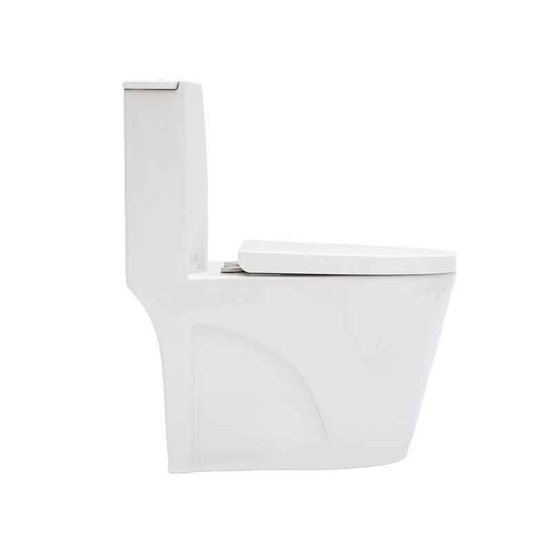 Ceramic One Piece Bathroom Toilet, 12-Inch Rough-In, 1.24/1.6 Dual Flush, Seat, 800G Map Skirted Design For Low Maintenance, Quick-Release Hinge, Structure Toilet With Pp Cleaner Look, Build