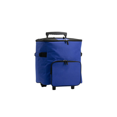Insulated Picnic Cooler