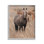 «Hazy Day Horse», art de la giclée encadrée par Lori Deiter