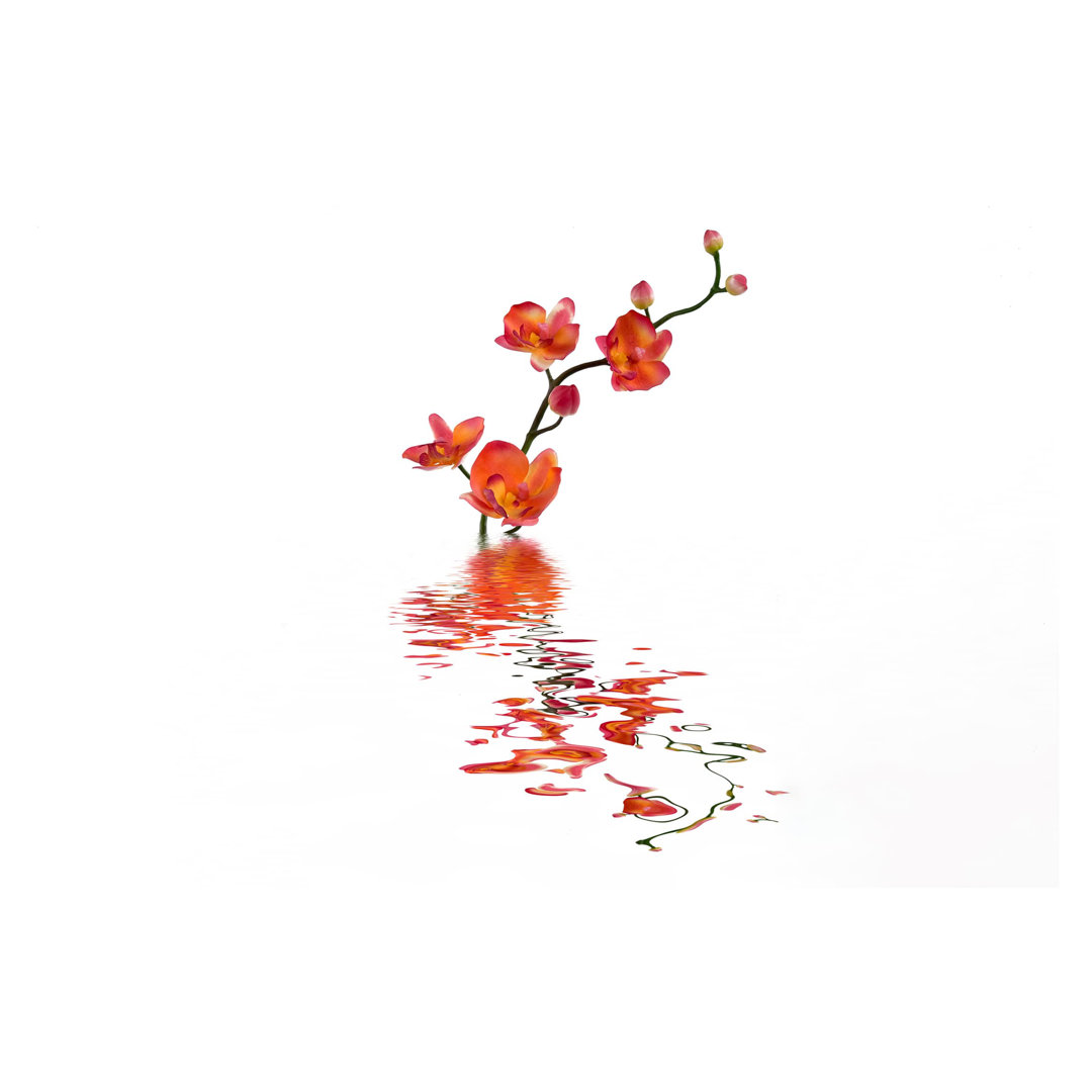 Flaming Orchid Waters 2.55m x 3.84m Textured Matte Peel & Stick Wall Mural