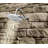 Isabel Multi Function Fixed Shower Head with Immersion-11239576-5825467