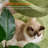 68.1-inch Tall Cat Tower