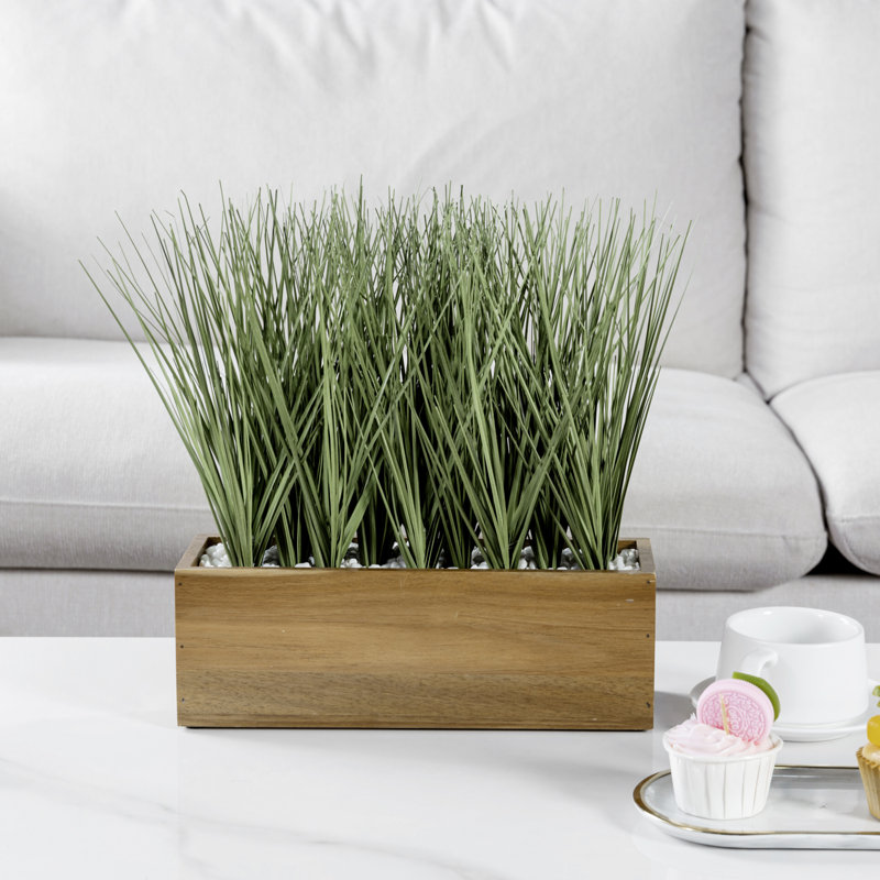 Herbes vertes artificielles en pot d'acacia