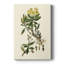 Olive Greenery IV - peinture sur toile tendue-530360612