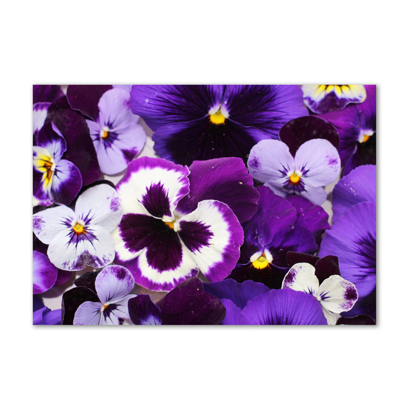 Pansies - Wrapped Canvas Print