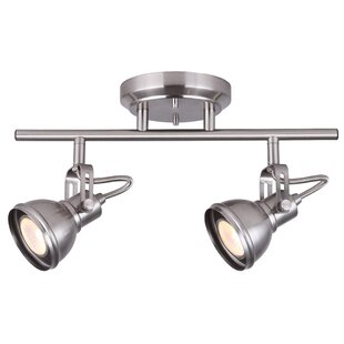 TH452 Track Lighting with Wire Mesh Design - From $74