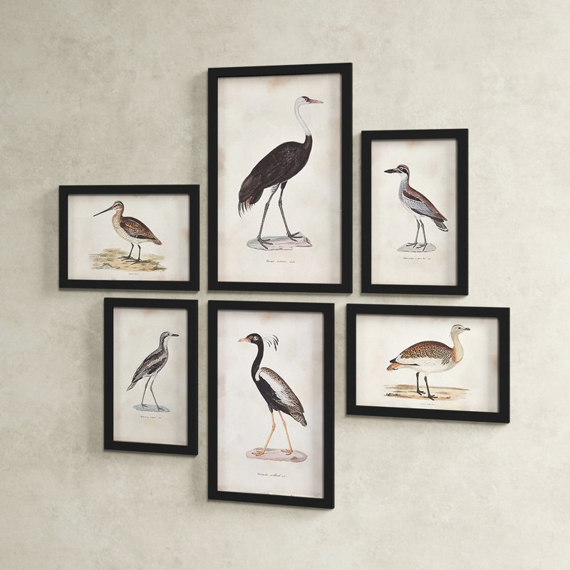 Waterfowl Gallery 6-Piece Aquatic Bird Art Print Set