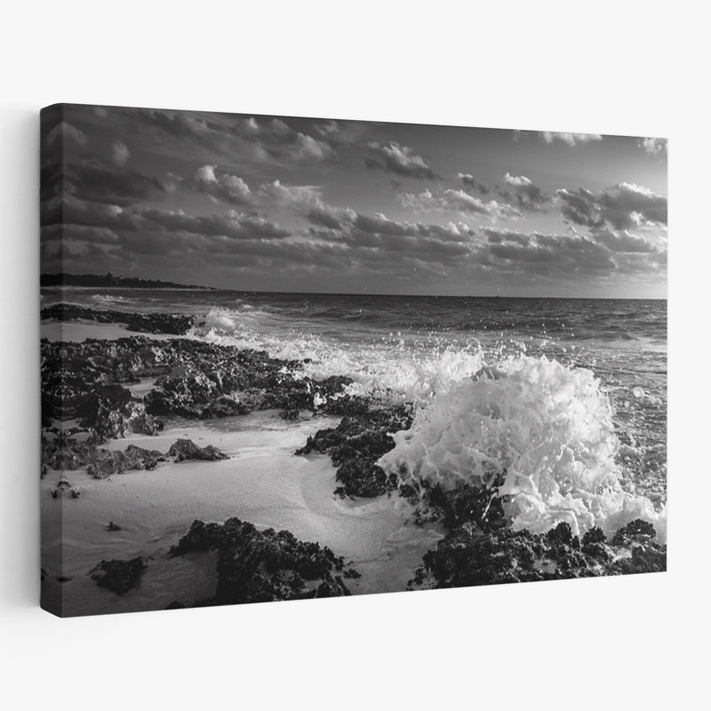 Bord de mer rampant - coquillages côtiers et corail, photographie d'art marin noir et blanc, H 24 po x l 36 po