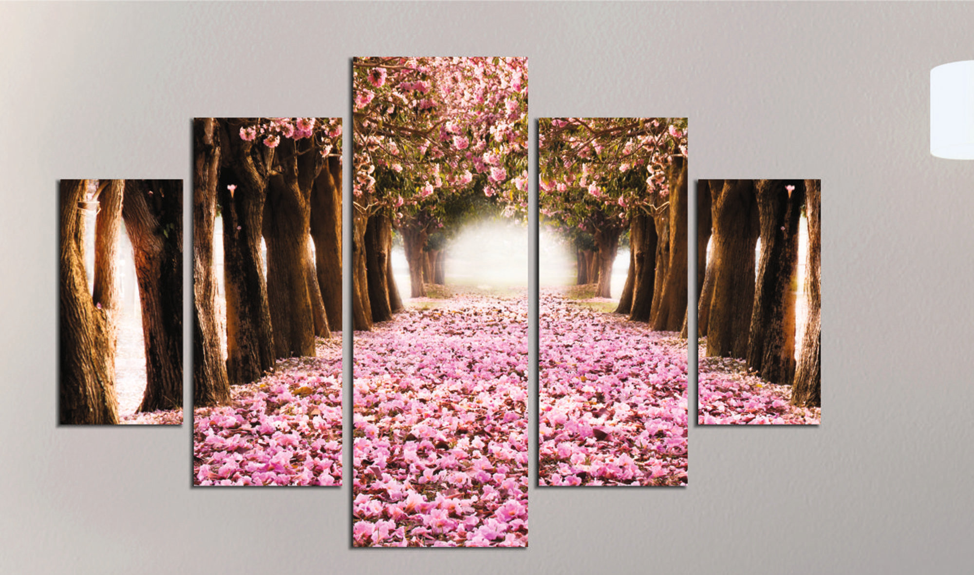 East Urban Home 5 Piece Unframed Photograph Set on Wood | Wayfair